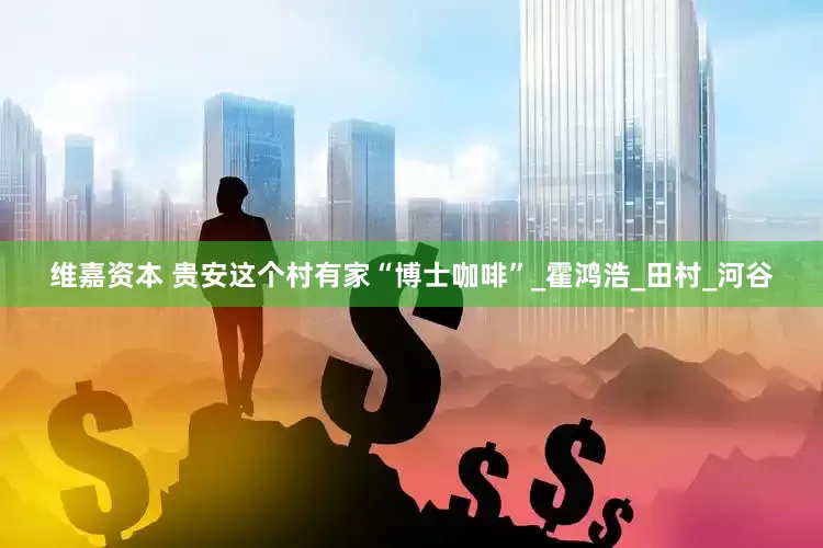 维嘉资本 贵安这个村有家“博士咖啡”_霍鸿浩_田村_河谷